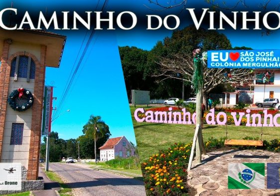 Caminho do Vinho-Curitiba: conheça um dos passeios mais tradicionais da região