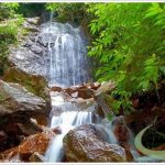 Serra do Japi: como conhecer e apreciar esse pedaço da natureza