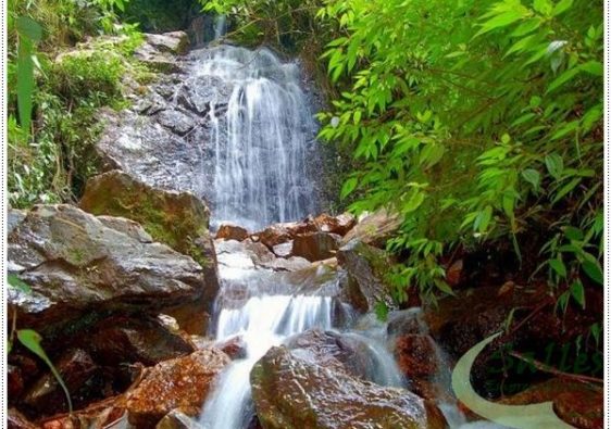 Serra do Japi: como conhecer e apreciar esse pedaço da natureza