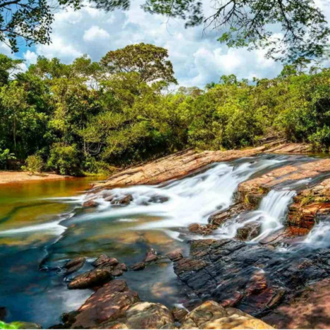 Tudo sobre o uso de chips de celular no Caribe em sua viagem